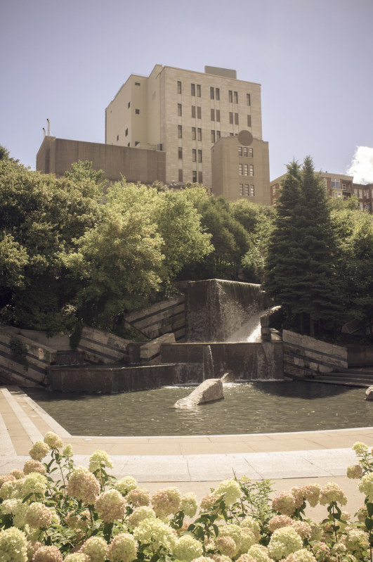 20130905-130225.jpg