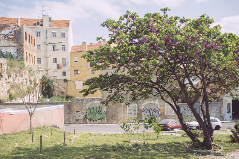 20140418-122924.jpg