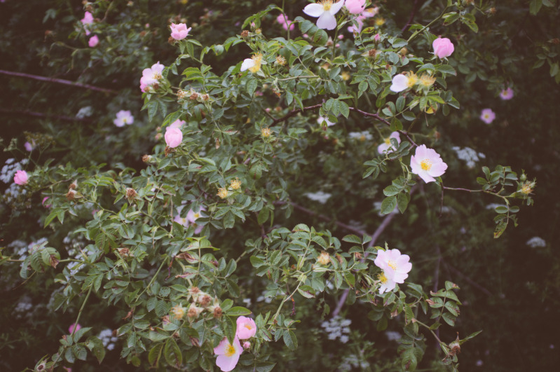 20140606-154149.jpg