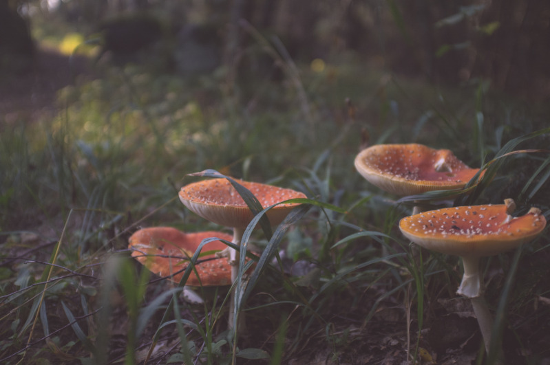 20140907-164659.jpg