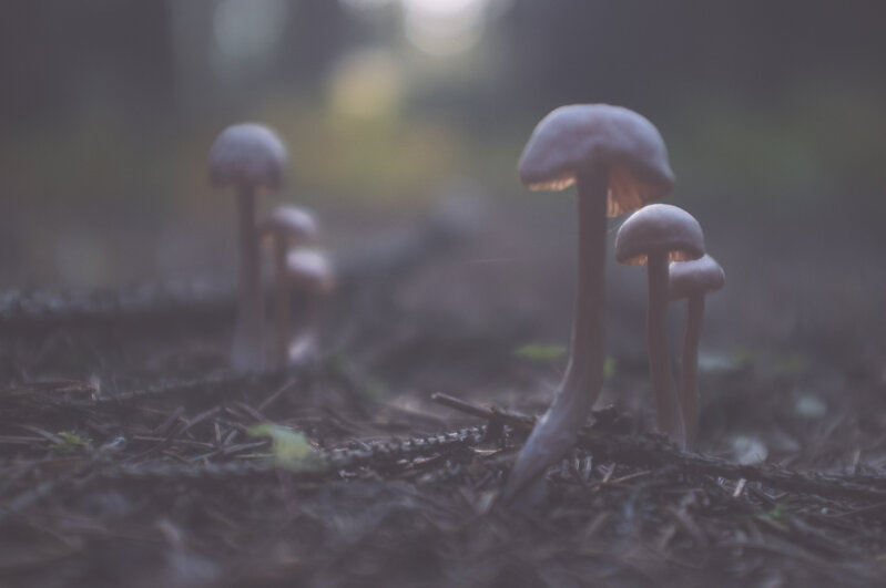 20140907-170423.jpg