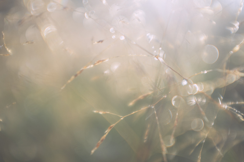 20140911-104445.jpg
