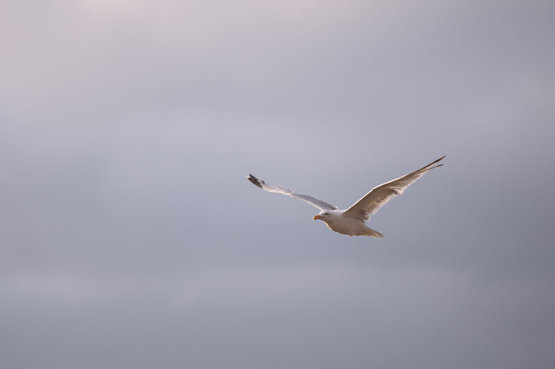 20150805-203939.jpg