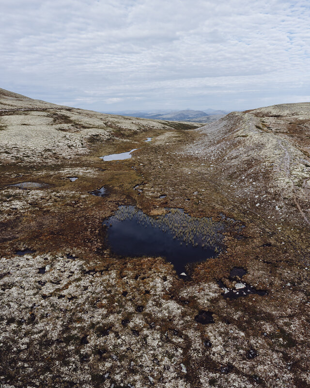 20210823-175422-Pano.jpg